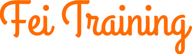 FEI Training