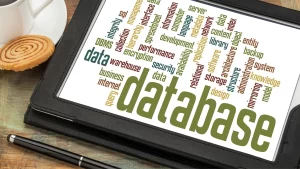 Read more about the article Database Management